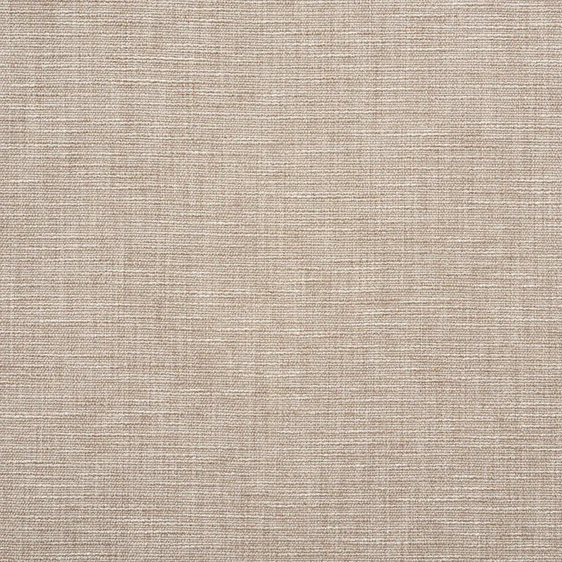 MAX WOVEN fabric FLAX color by Schumacher