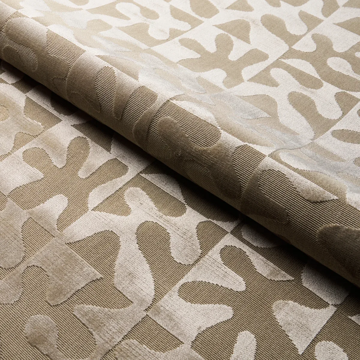 MODERN DANCE VELVET fabric CHAMPAGNE color by Schumacher