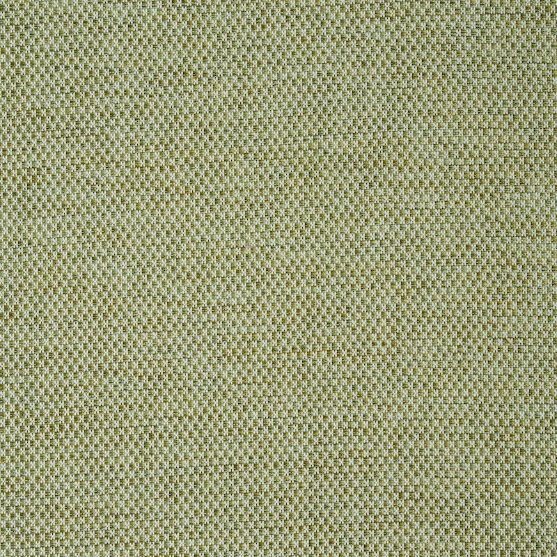 MOMO HAND WOVEN TEXTURE fabric FERN color by Schumacher