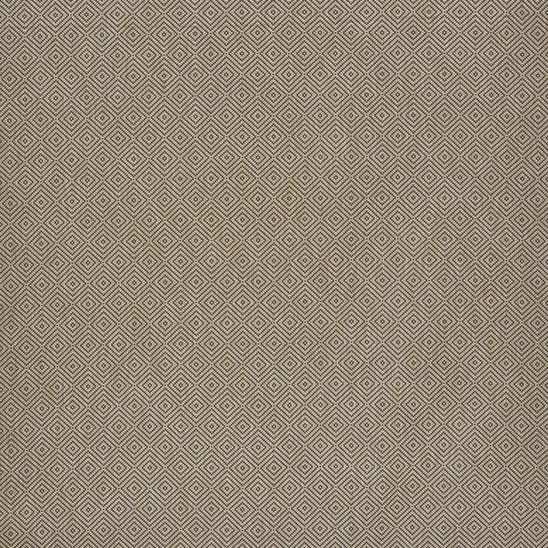 MONTANE fabric RAFFIA color by Schumacher