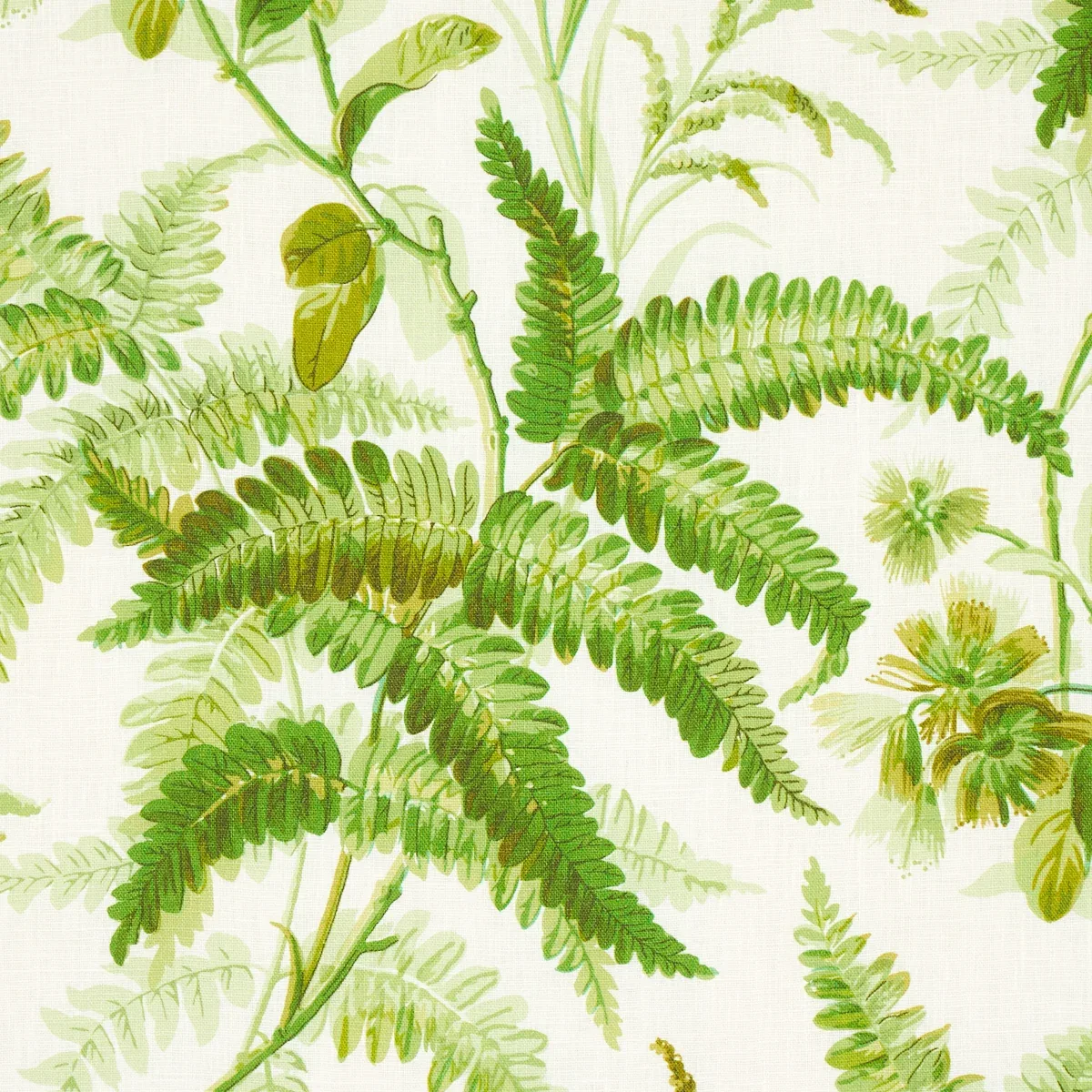 MYERS FERN LINEN fabric TROPICAL color by Schumacher