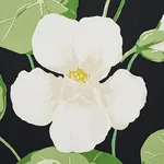 NASTURTIUM Fabric – NOIR | Schumacher | Wallpaper Twins NASTURTIUM fabric NOIR color by Schumacher