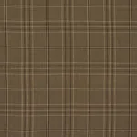 NILS PLAID LINEN fabric LICHEN color by Schumacher