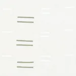 OAXACA fabric GRASS ON WHITE color by Schumacher