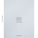 OLIVE fabric SKY color by Schumacher