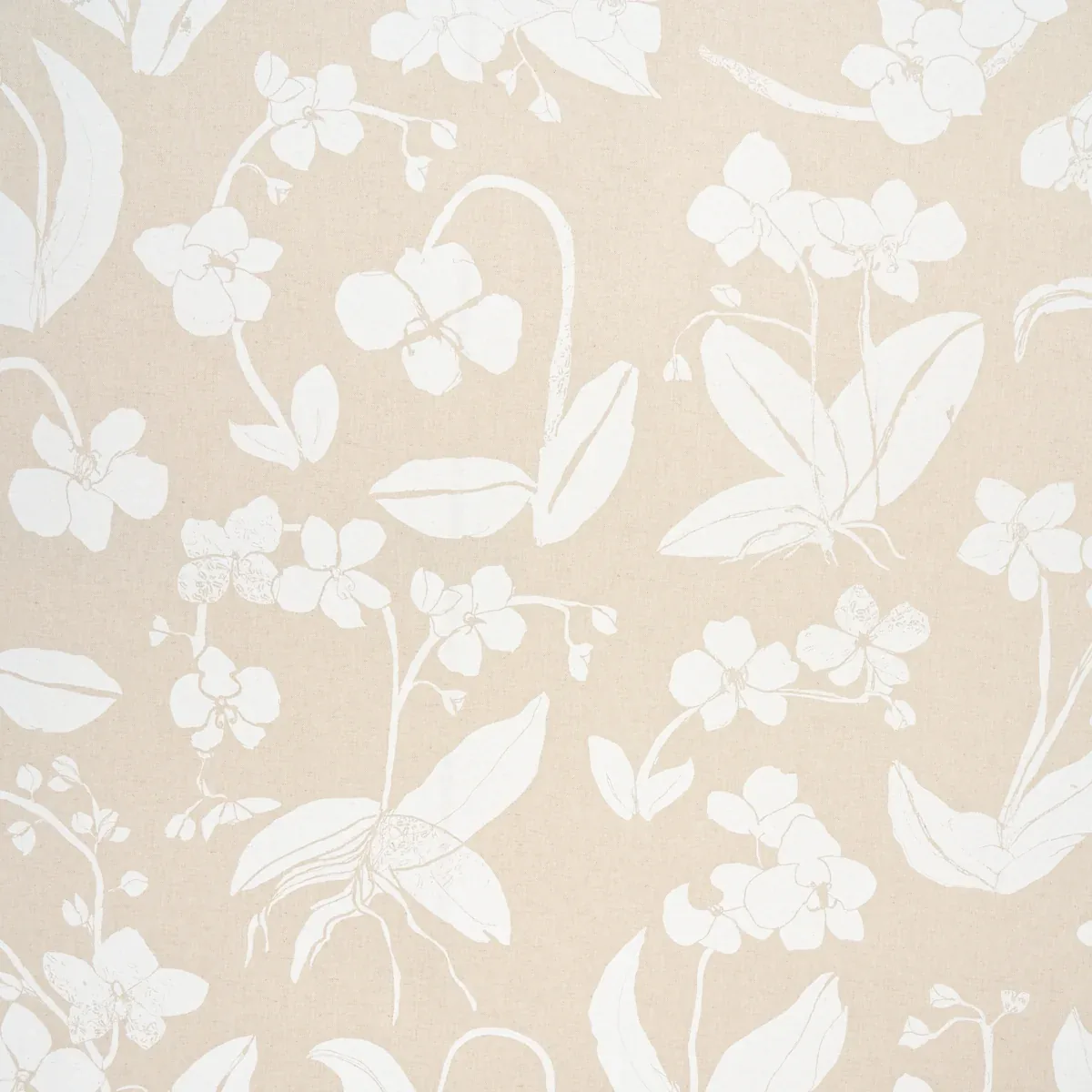 ORCHIDS HAVE DREAMS fabric LIGHT NEUTRAL color by Schumacher