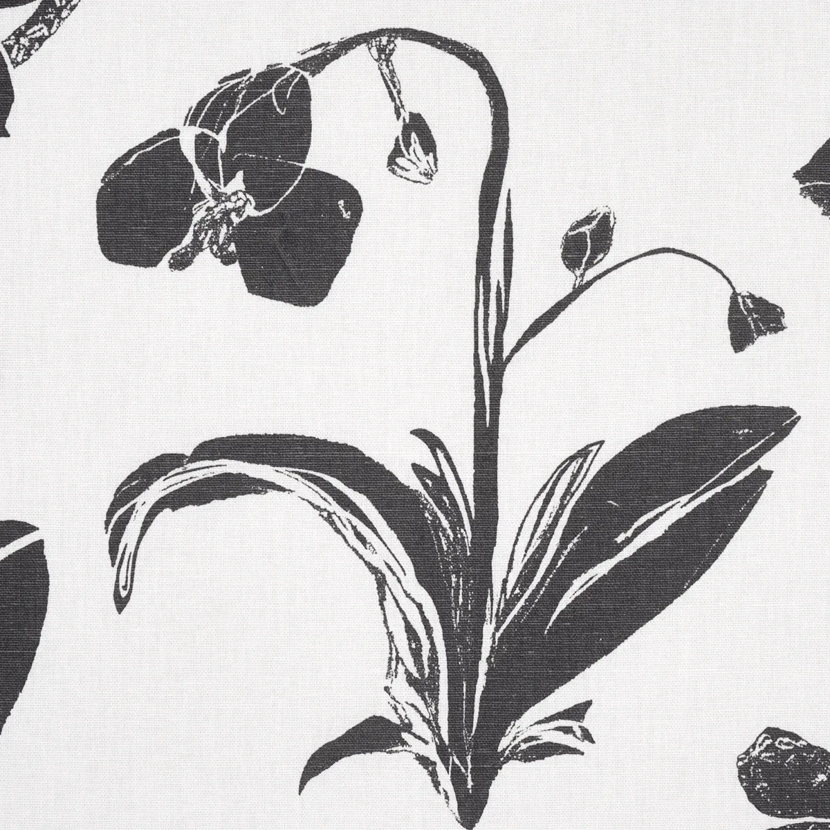 ORCHIDS HAVE DREAMS Fabric – SOFT BLACK | Schumacher | Wallp ORCHIDS HAVE DREAMS fabric SOFT BLACK color by Schumacher