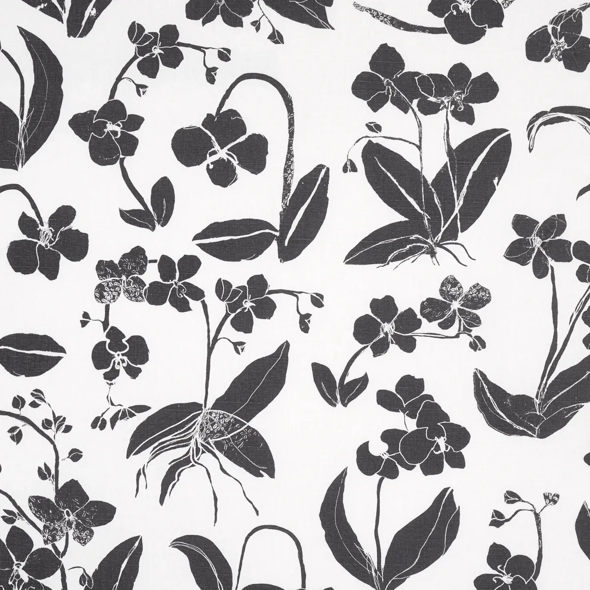 180510 | ORCHIDS HAVE DREAMS – SOFT BLACK