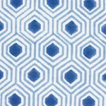 OTIS HAND PRINT Fabric – BLUE | Schumacher | Wallpaper Twins OTIS HAND PRINT fabric BLUE color by Schumacher