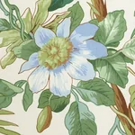 PALMETTO GARDEN fabric TROPIC color by Schumacher