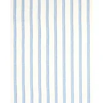 PALOMA EMBROIDERY fabric CHAMBRAY color by Schumacher
