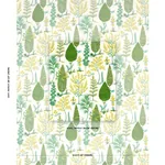 PANDORA EMBROIDERY Fabric – GREEN | Schumacher | Wallpaper T PANDORA EMBROIDERY fabric GREEN color by Schumacher