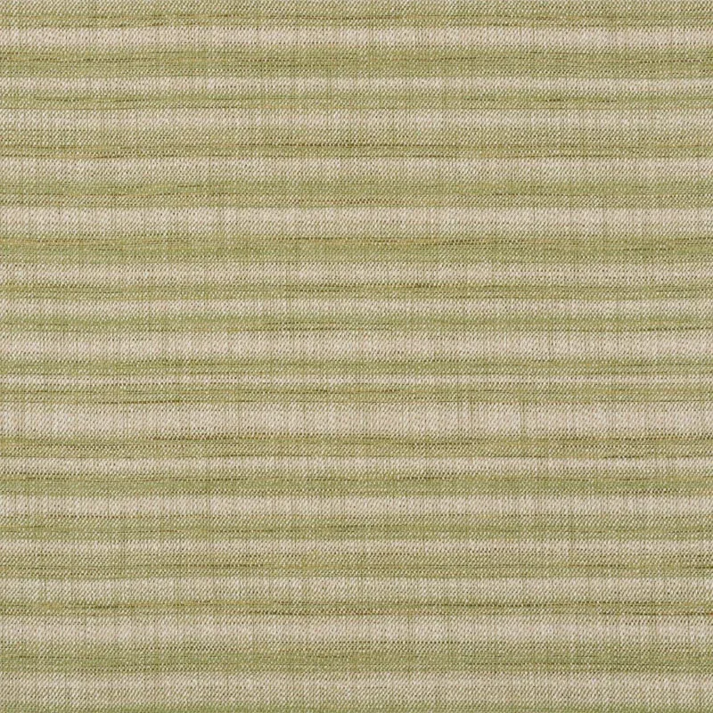 73362 | PETRA STRIPE – GRASS