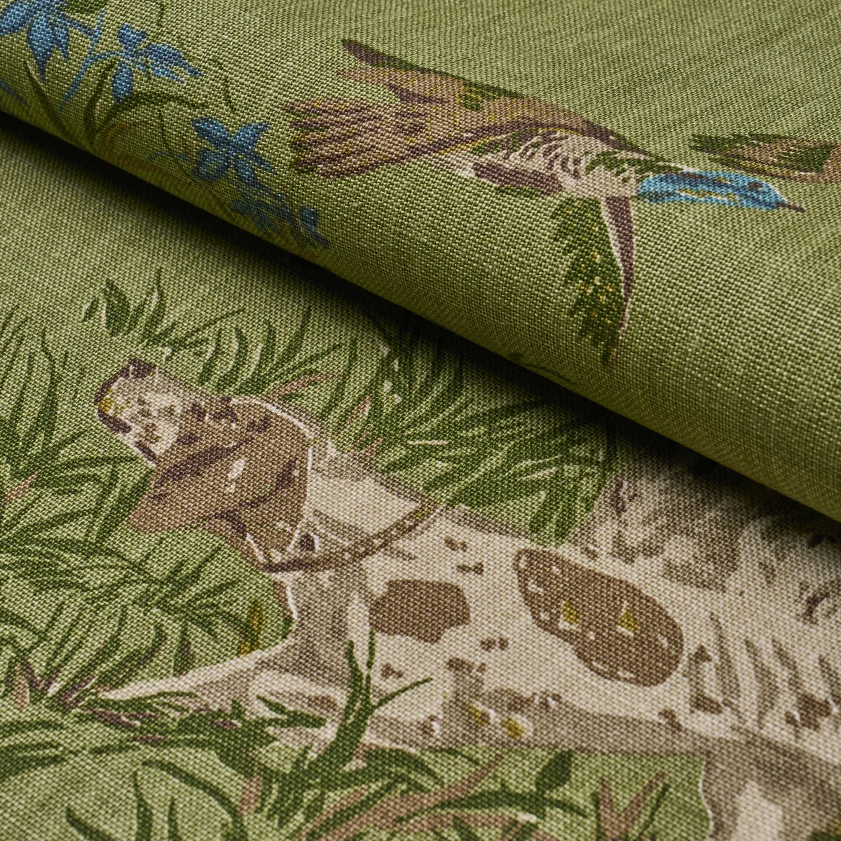 POINTERS Fabric – MEADOW | Schumacher | Wallpaper Twins POINTERS fabric MEADOW color by Schumacher
