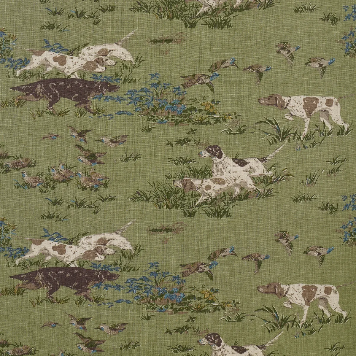 175164 | POINTERS – MEADOW