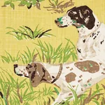 POINTERS Fabric – YELLOW | Schumacher | Wallpaper Twins POINTERS fabric YELLOW color by Schumacher