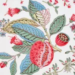 POMEGRANATE BOTANICAL Fabric – DOCUMENT | Schumacher | Wallp POMEGRANATE BOTANICAL fabric DOCUMENT color by Schumacher
