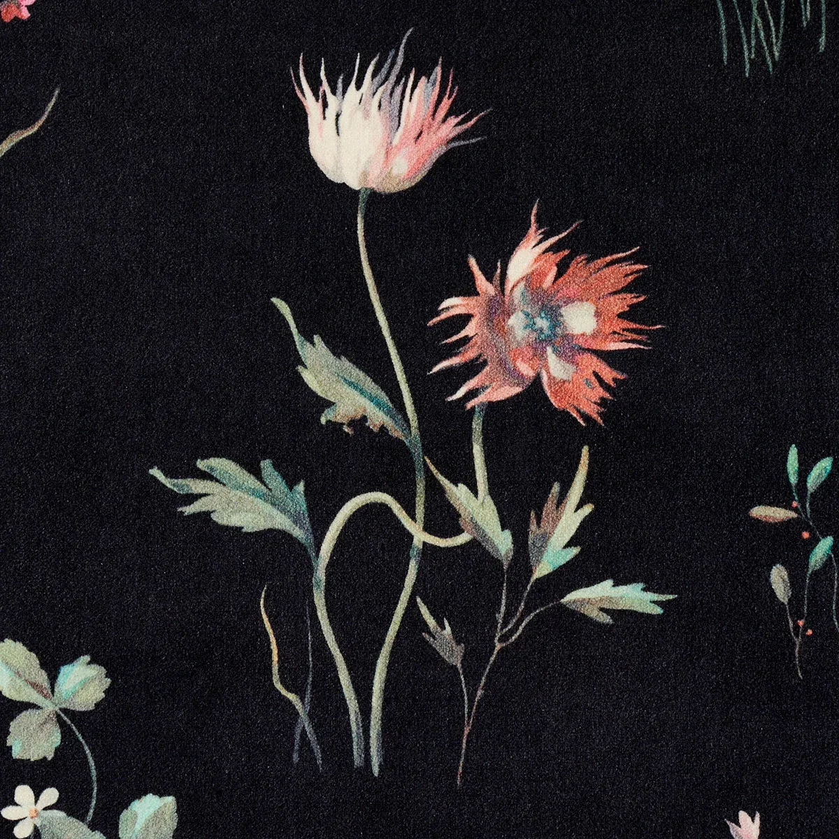 PRIMAVERA VELVET fabric BLACK color by Schumacher