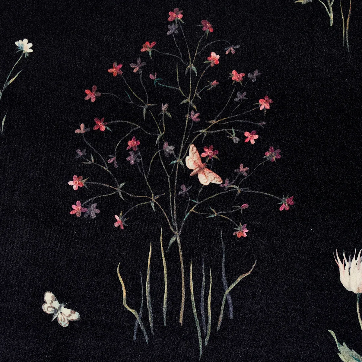 PRIMAVERA VELVET fabric BLACK color by Schumacher