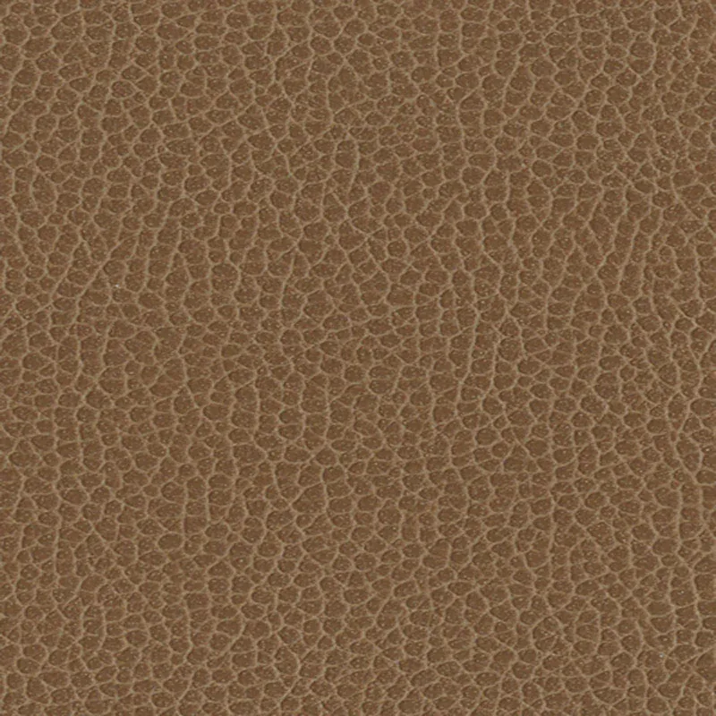 PROMESSA fabric FIELDS color by Schumacher