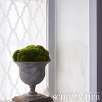 PUCCINI SHEER Fabric – IVORY | Schumacher | Wallpaper Twins PUCCINI SHEER fabric IVORY color by Schumacher