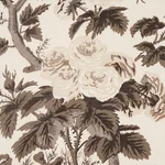 PYNE HOLLYHOCK Fabric – CHARCOAL | Schumacher | Wallpaper Tw PYNE HOLLYHOCK fabric CHARCOAL color by Schumacher