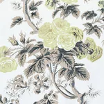 PYNE HOLLYHOCK Fabric – GREEN TEA | Schumacher | Wallpaper T PYNE HOLLYHOCK fabric GREEN TEA color by Schumacher