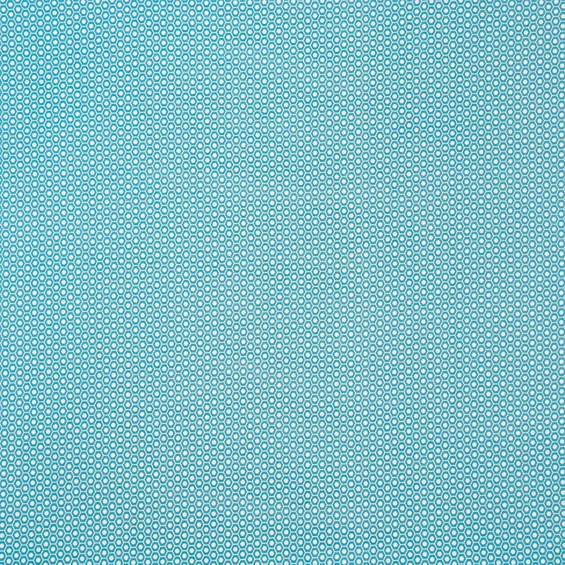 QUEEN B II INDOOR/OUTDOOR fabric AQUA color by Schumacher