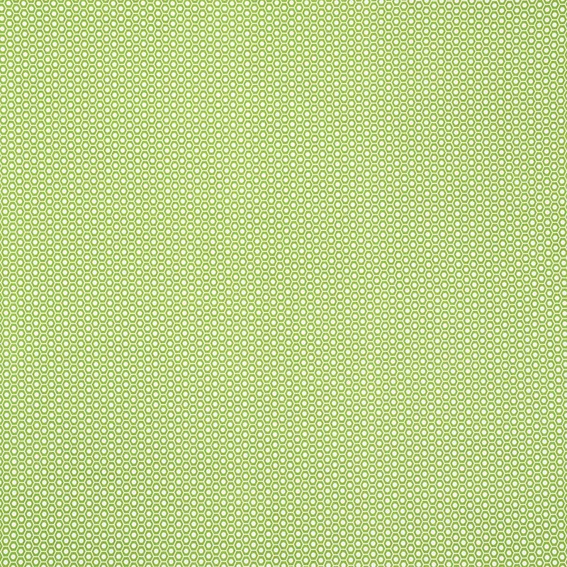 176560 | QUEEN B II INDOOR/OUTDOOR – GREEN