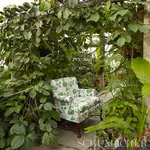 QUEEN FRUIT CHINTZ fabric JADE color by Schumacher