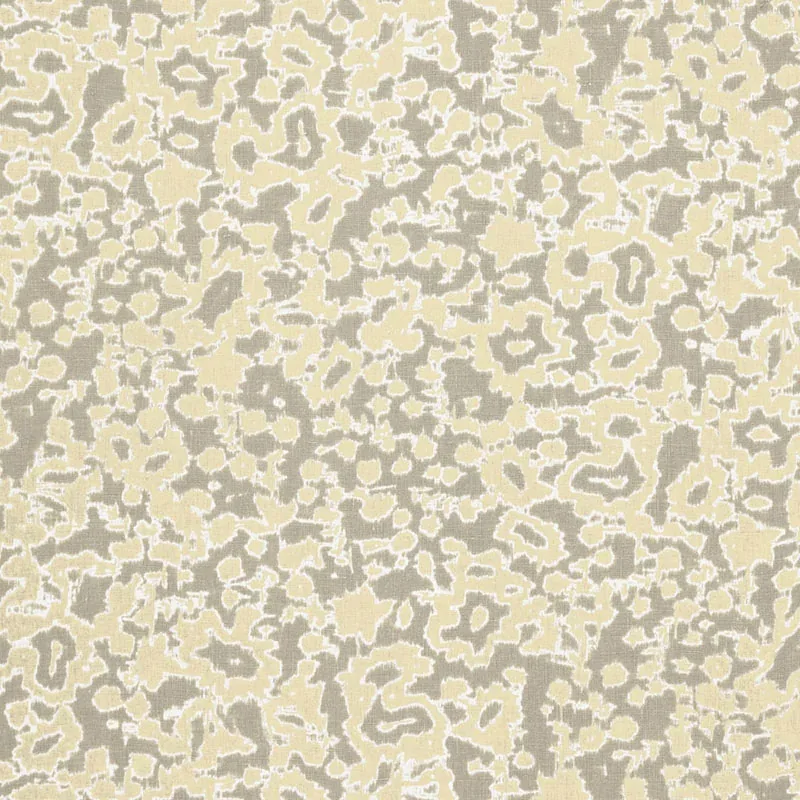 RAIN DANCE fabric STONE color by Schumacher