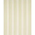 RANDOLPH STRIPE MOIRÉ fabric MAGNOLIA color by Schumacher