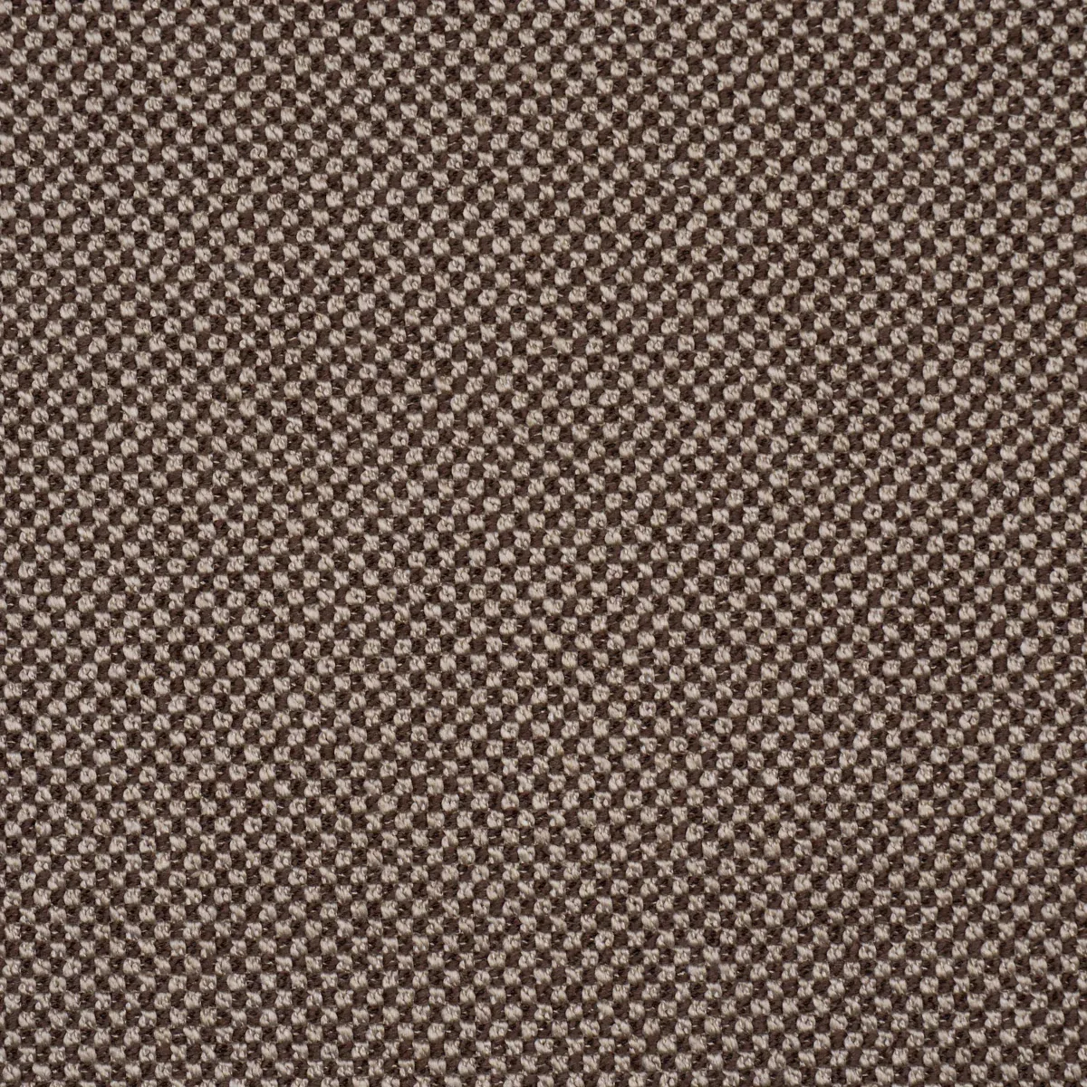 RAYE PERFORMANCE fabric BROWN color by Schumacher