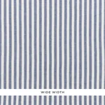 REGATTA LINEN STRIPE SHEER fabric CHAMBRAY color by Schumacher