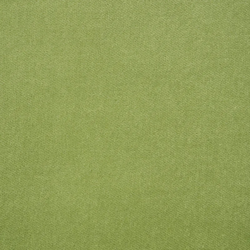 Rocky Performance Velvet fabric ALOE color by Schumacher