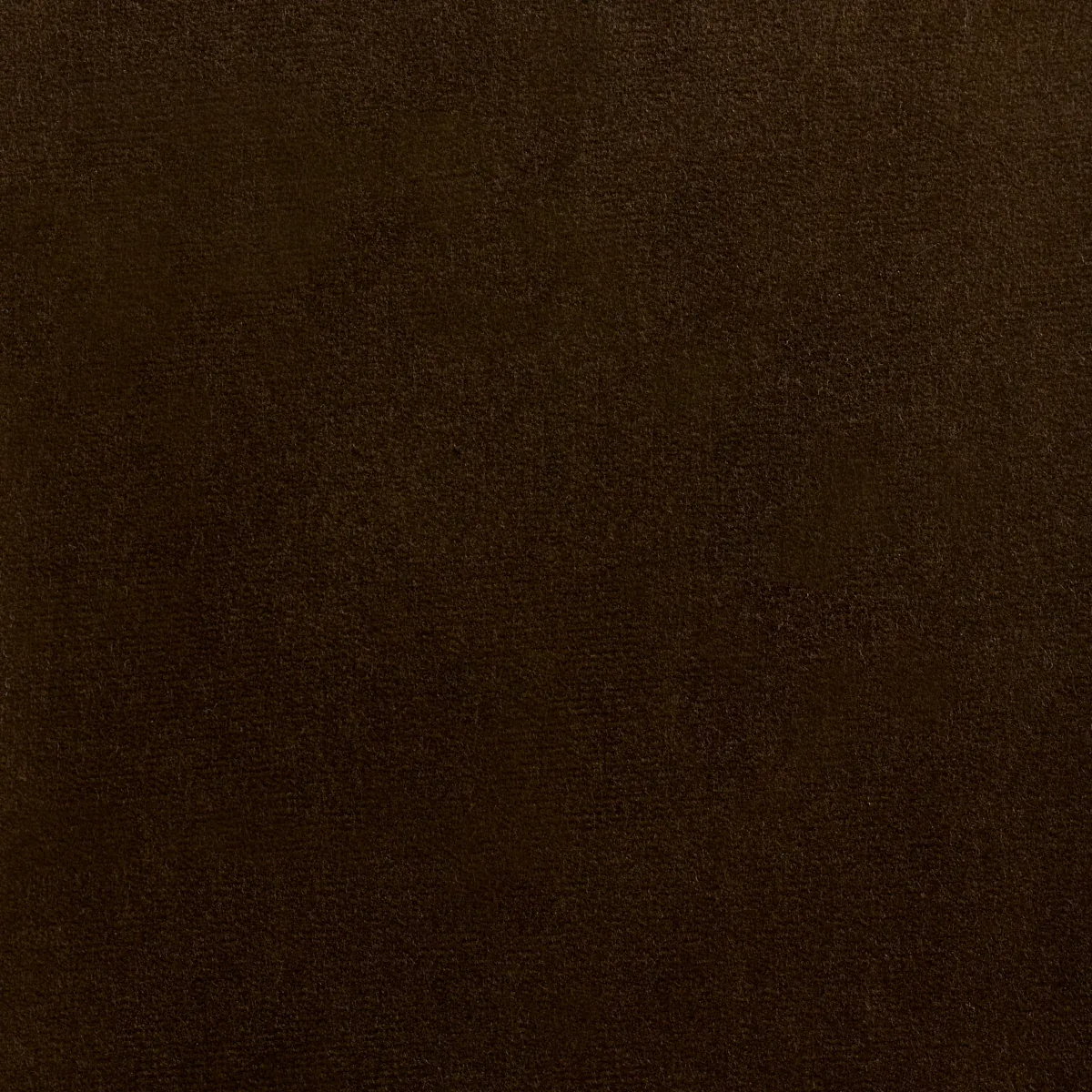 Rocky Performance Velvet fabric BRUN color by Schumacher