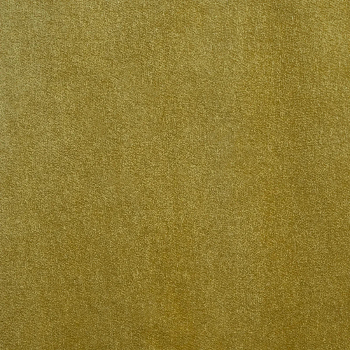 Rocky Performance Velvet fabric CELERY color by Schumacher