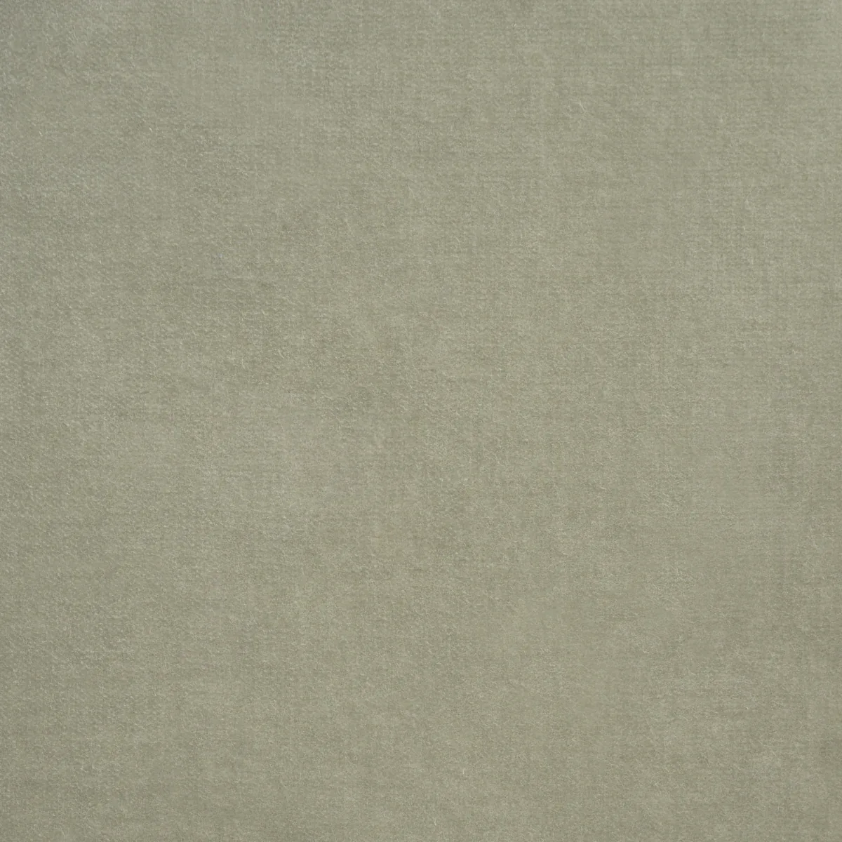 Rocky Performance Velvet Fabric – FERN | Schumacher | Wallpa Rocky Performance Velvet fabric FERN color by Schumacher