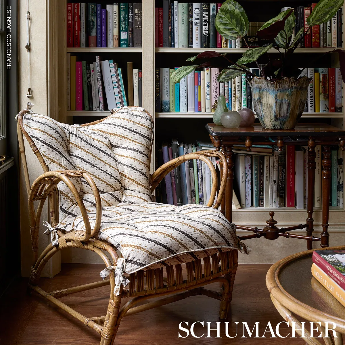 RONNIE fabric BROWN color by Schumacher