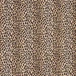 SAFARI ÉPINGLÉ Fabric – LEOPARD | Schumacher | Wallpaper Twi SAFARI ÉPINGLÉ fabric LEOPARD color by Schumacher