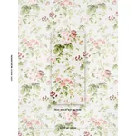 SALISBURY CHINTZ fabric BLUSH color by Schumacher