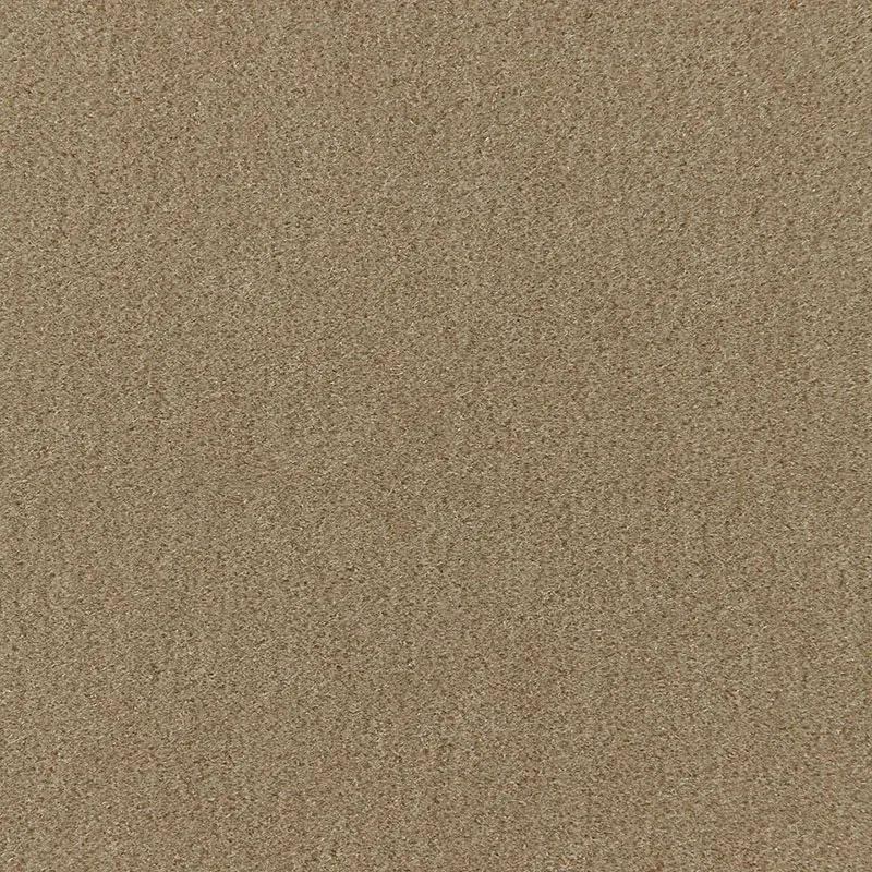 64887 | San Carlo Mohair Velvet – SAGE