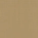 SARGENT SILK TAFFETA fabric BAMBOO color by Schumacher