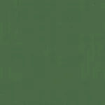 Sargent Silk Taffeta fabric GRASS color by Schumacher
