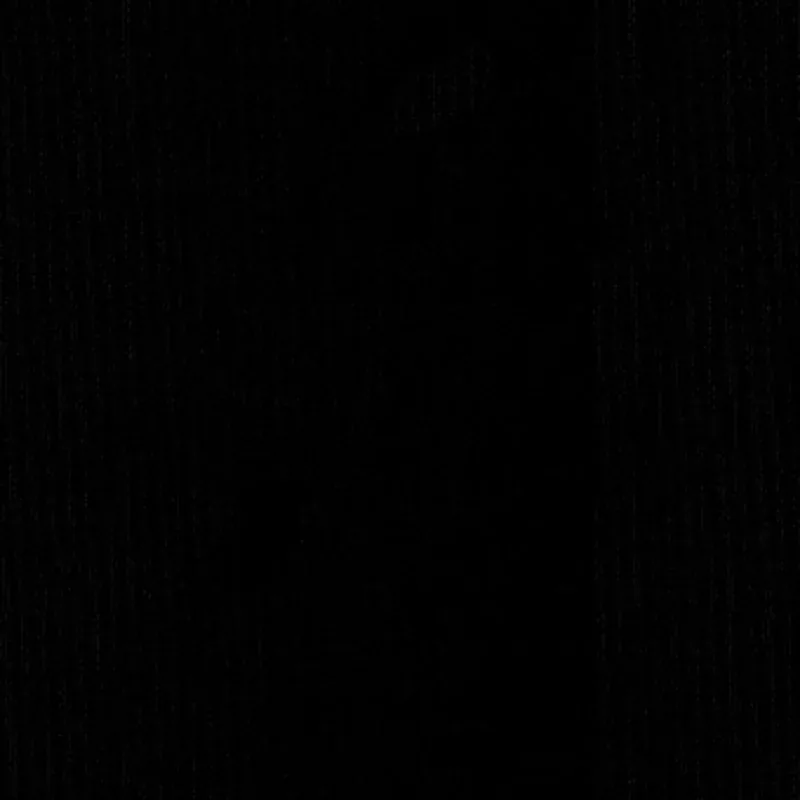 SARGENT SILK TAFFETA fabric ONYX color by Schumacher