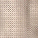 SAVONNERIE TAPESTRY fabric BROWN color by Schumacher
