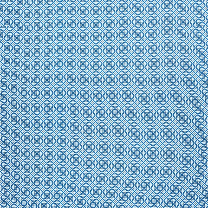 SERENDIPITY fabric BLUE color by Schumacher