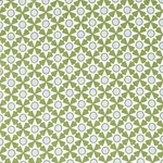 SERENDIPITY fabric GREEN color by Schumacher