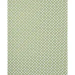 SERENDIPITY fabric GREEN color by Schumacher