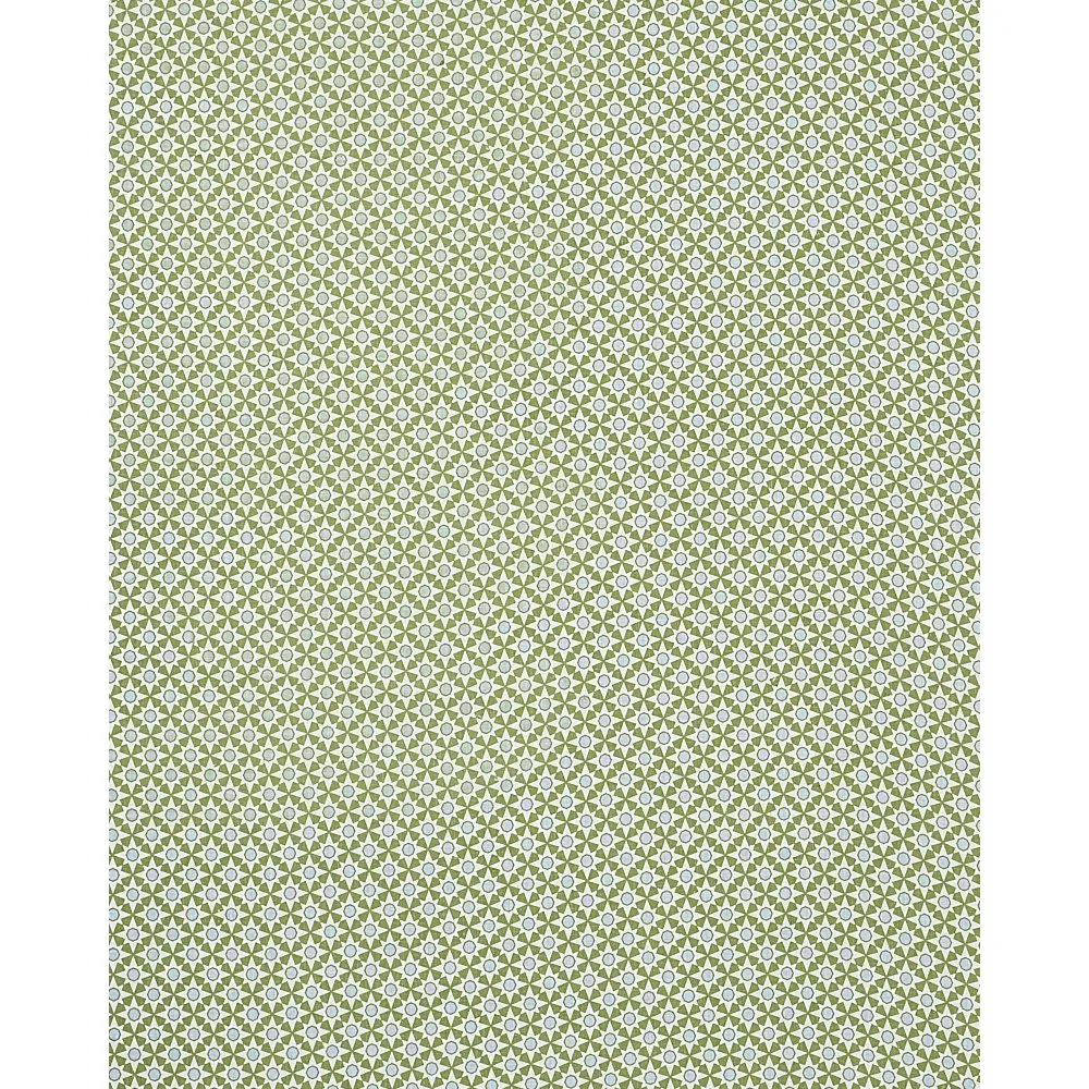 SERENDIPITY fabric GREEN color by Schumacher